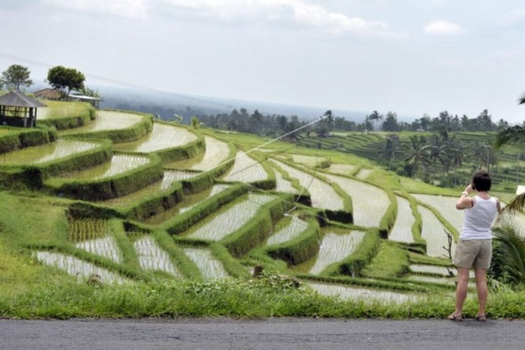 Things To Do In Ubud