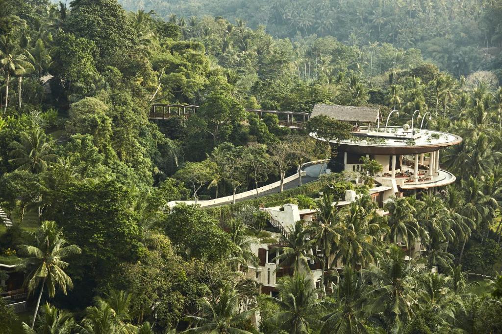 Top Hotels in Ubud