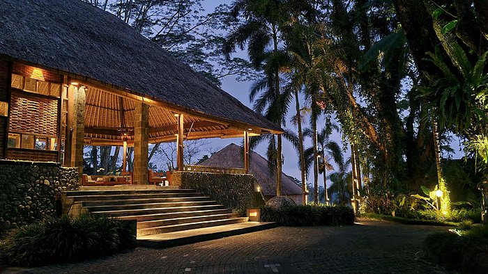 Top Hotels in Ubud