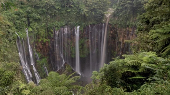 Things to Do on Java Island