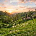 Why You Should Visit Ubud: 5 Compelling Reasons (2025) A panoramic view of lush green rice terraces in Ubud, Bali, with traditional Balinese temples nestled among the foliage and a vibrant sunset sky.
