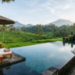A luxurious resort pool overlooking dense, green rice terraces in Ubud, Bali.